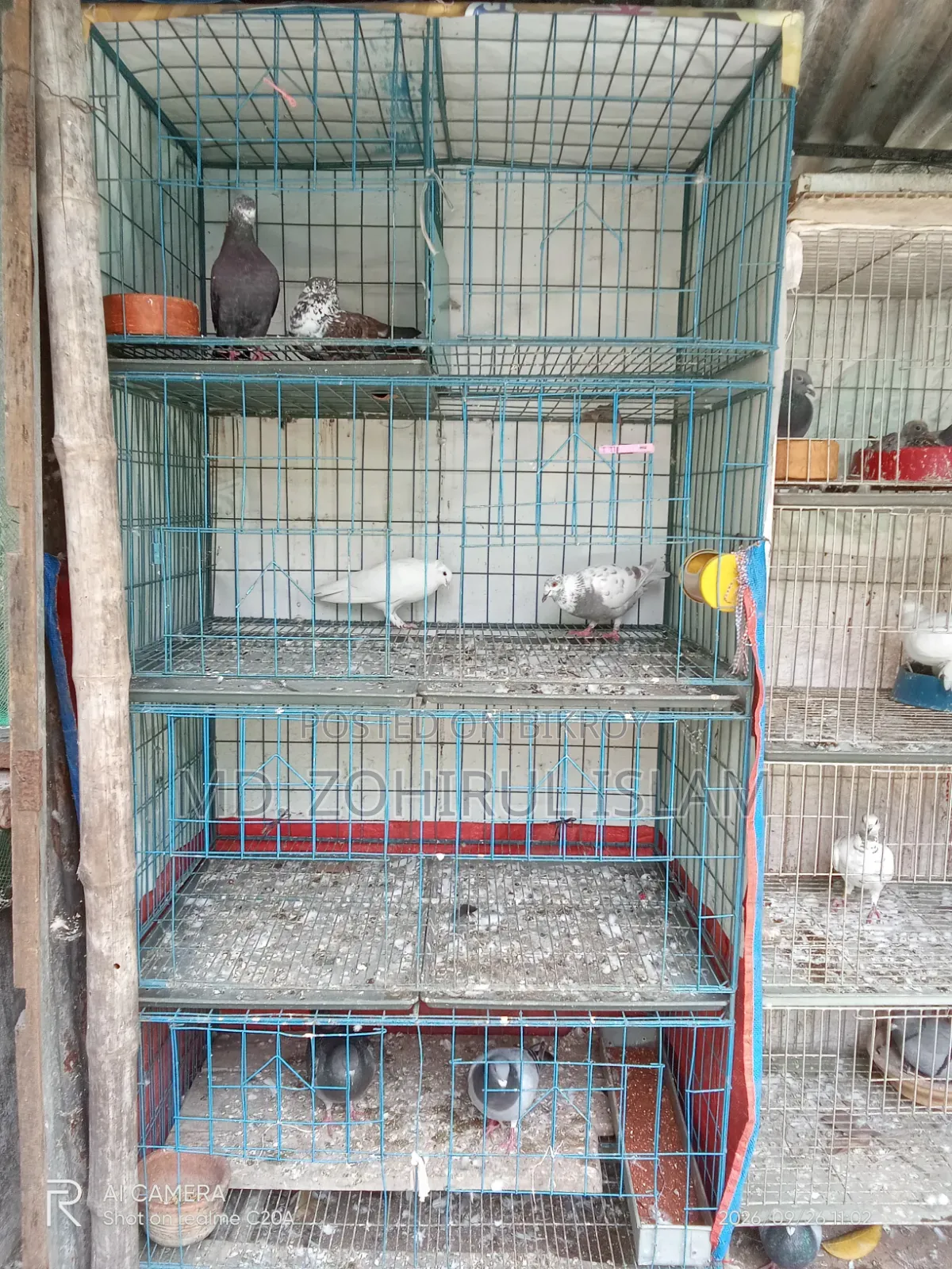 Cage for sale