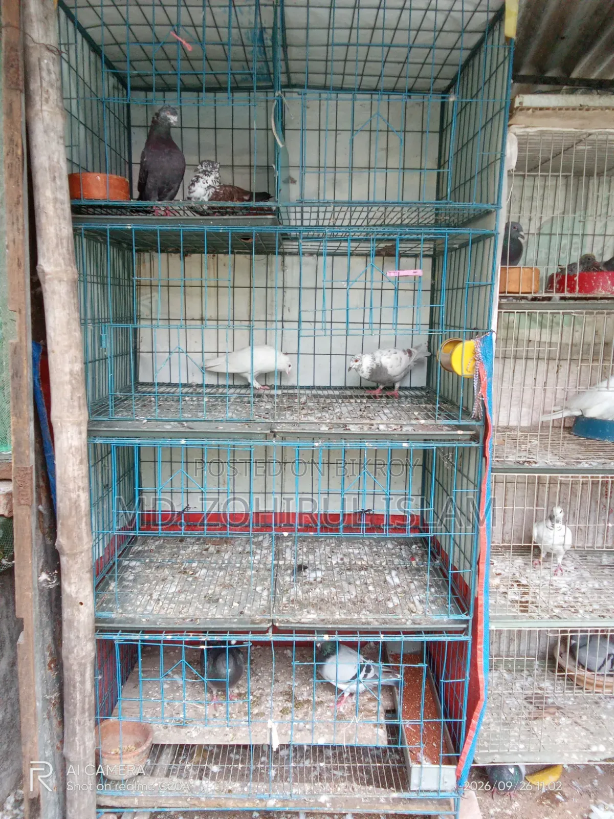 Cage for sale