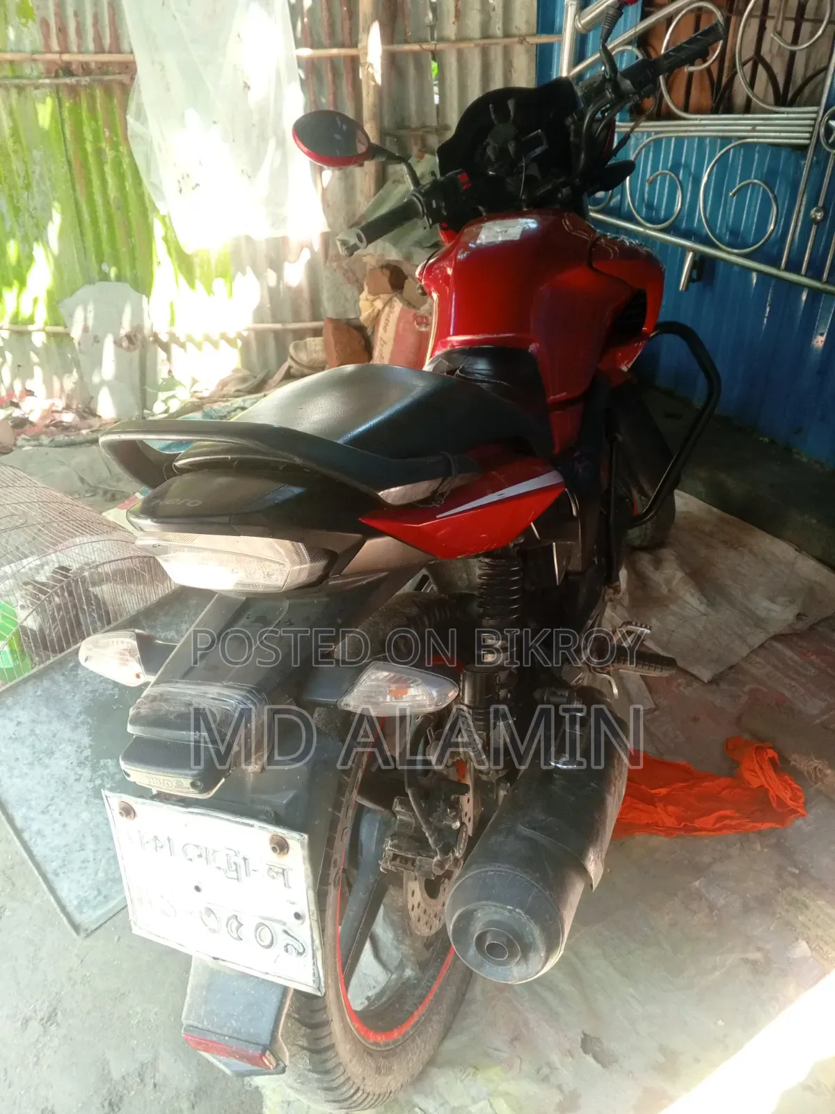 হিরো হাঙ্ক ২০১৮ লাল