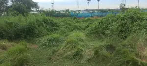 জমির জন্য বিজ্ঞাপন