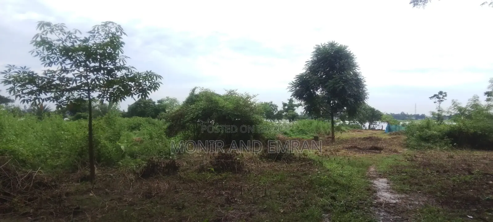 জমির জন্য বিজ্ঞাপন