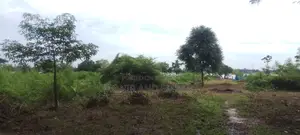 জমির জন্য বিজ্ঞাপন