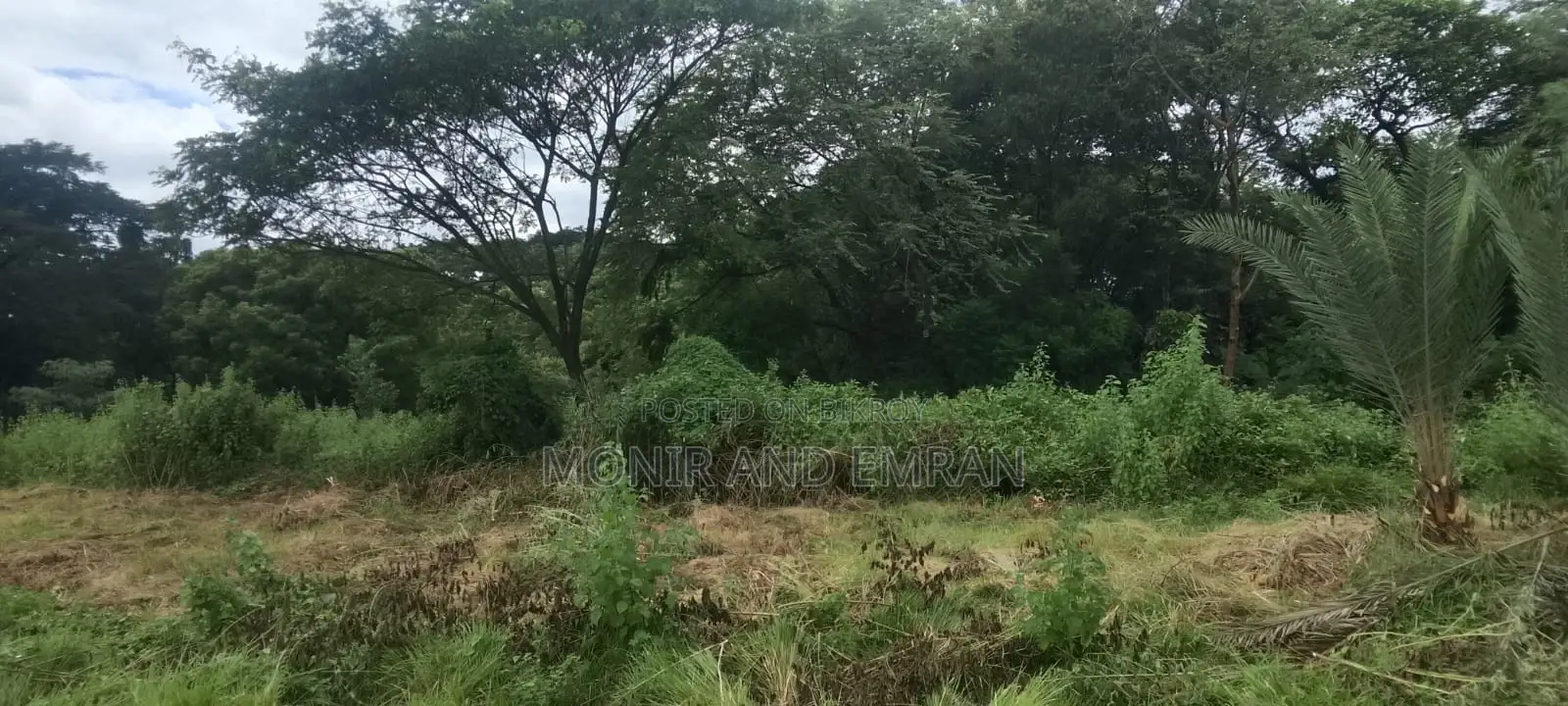 জমির জন্য বিজ্ঞাপন