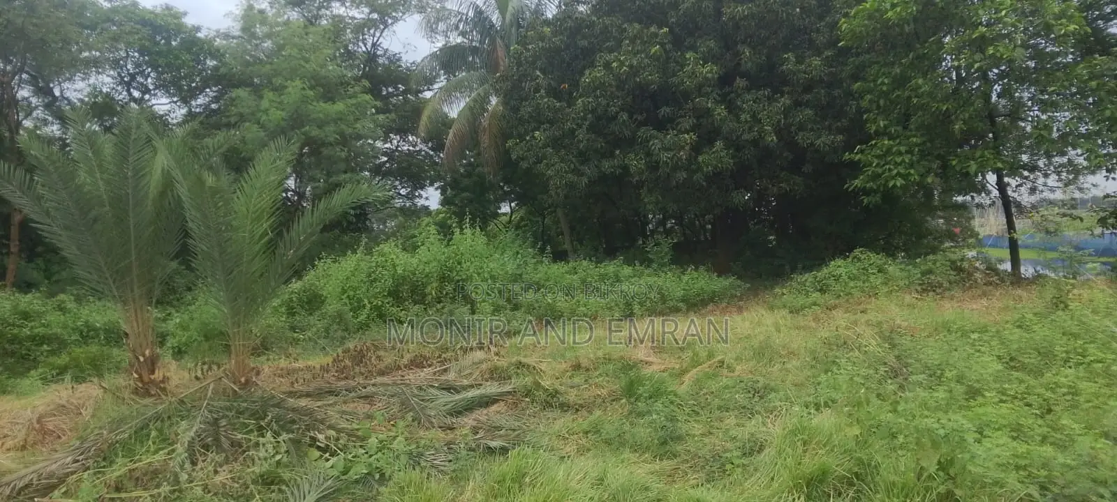 জমির জন্য বিজ্ঞাপন