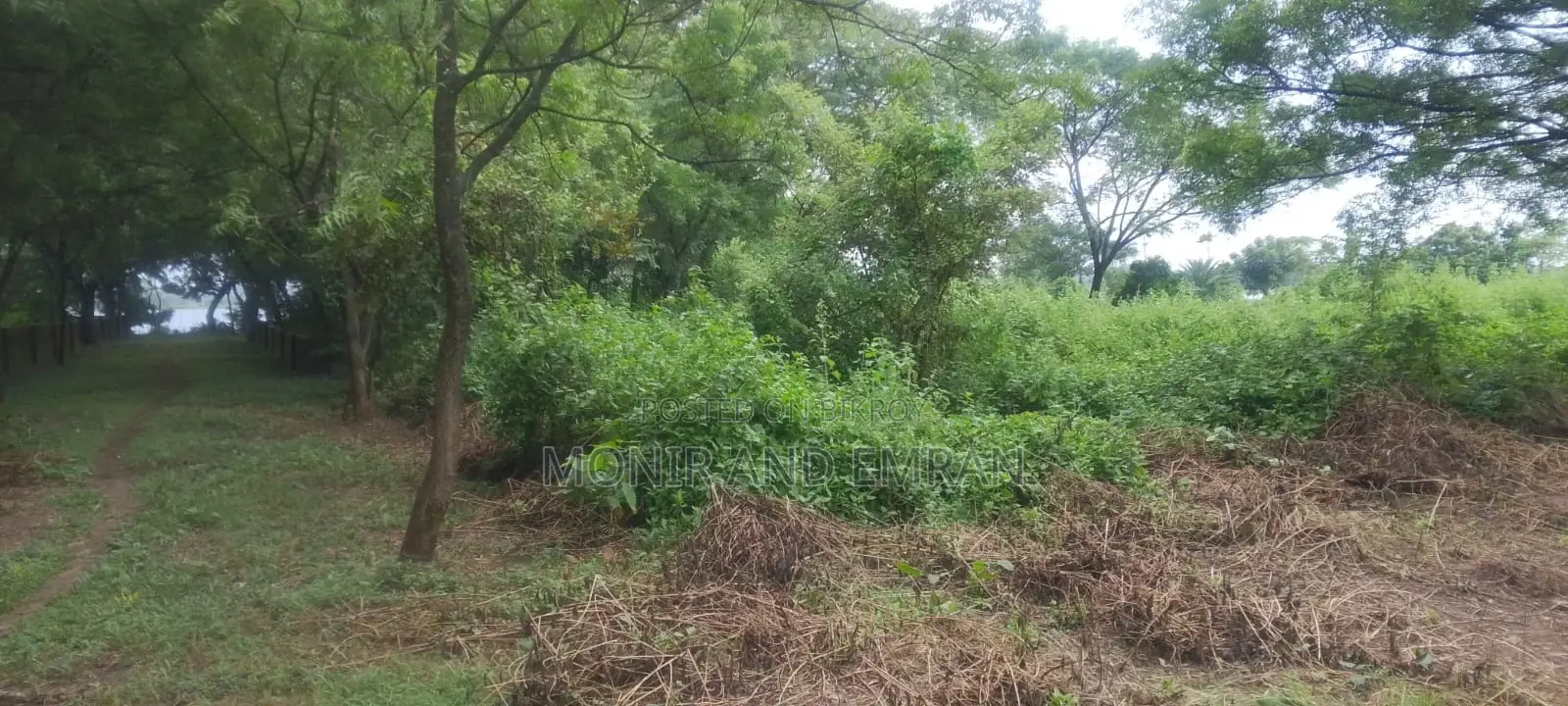 জমির জন্য বিজ্ঞাপন