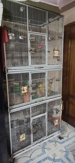 Three-story bird cage (cage only) will be sold at a very low price