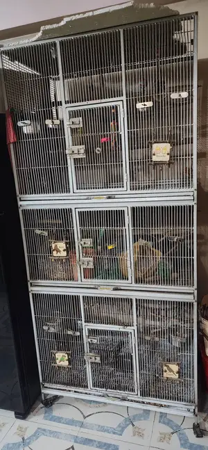 Three-story bird cage (cage only) will be sold at a very low price