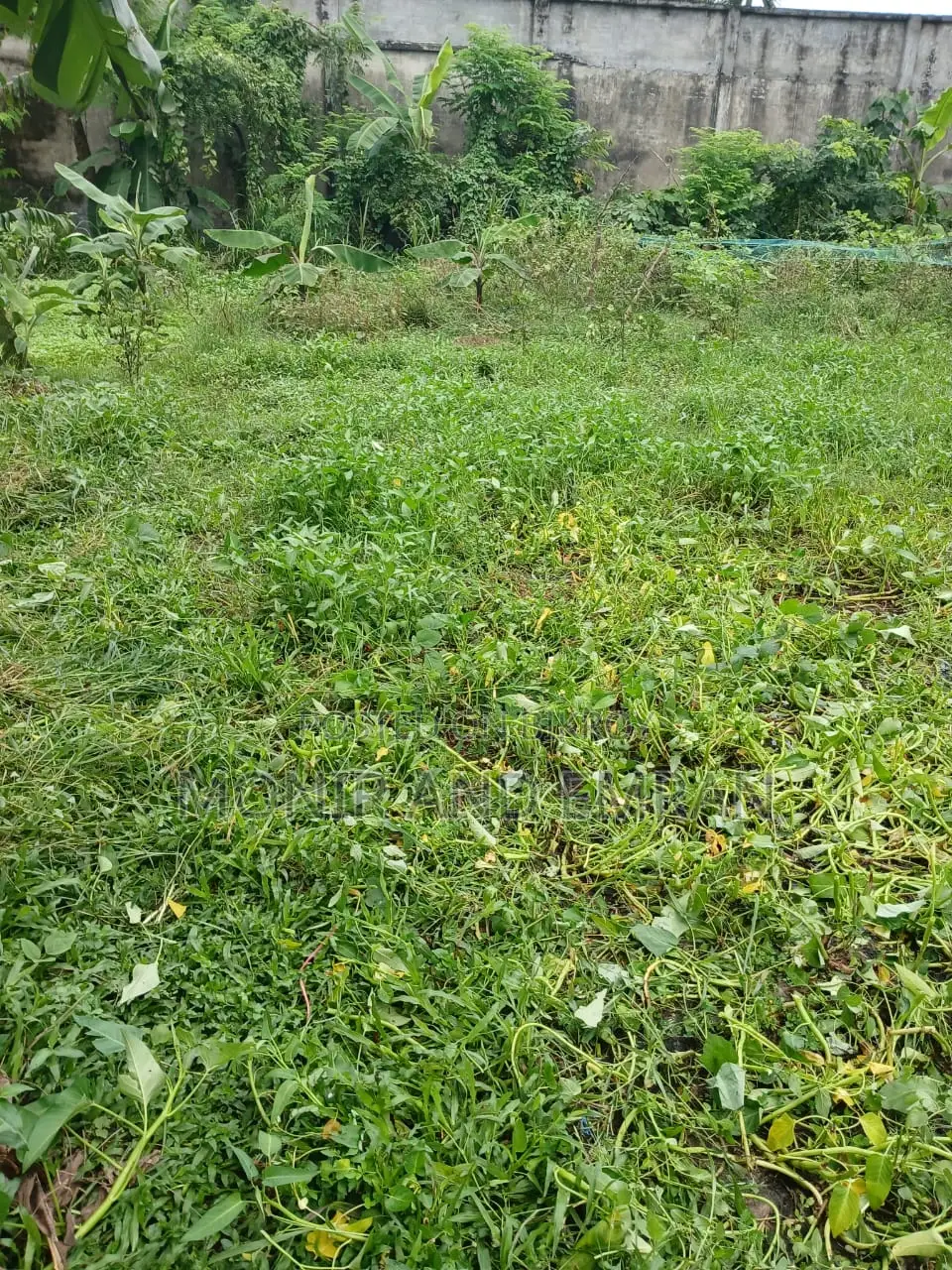 জমি বিক্রয় বিজ্ঞপ্তি