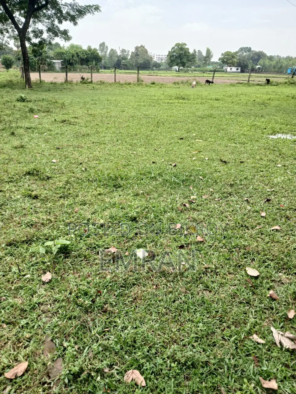Land Sale Notice