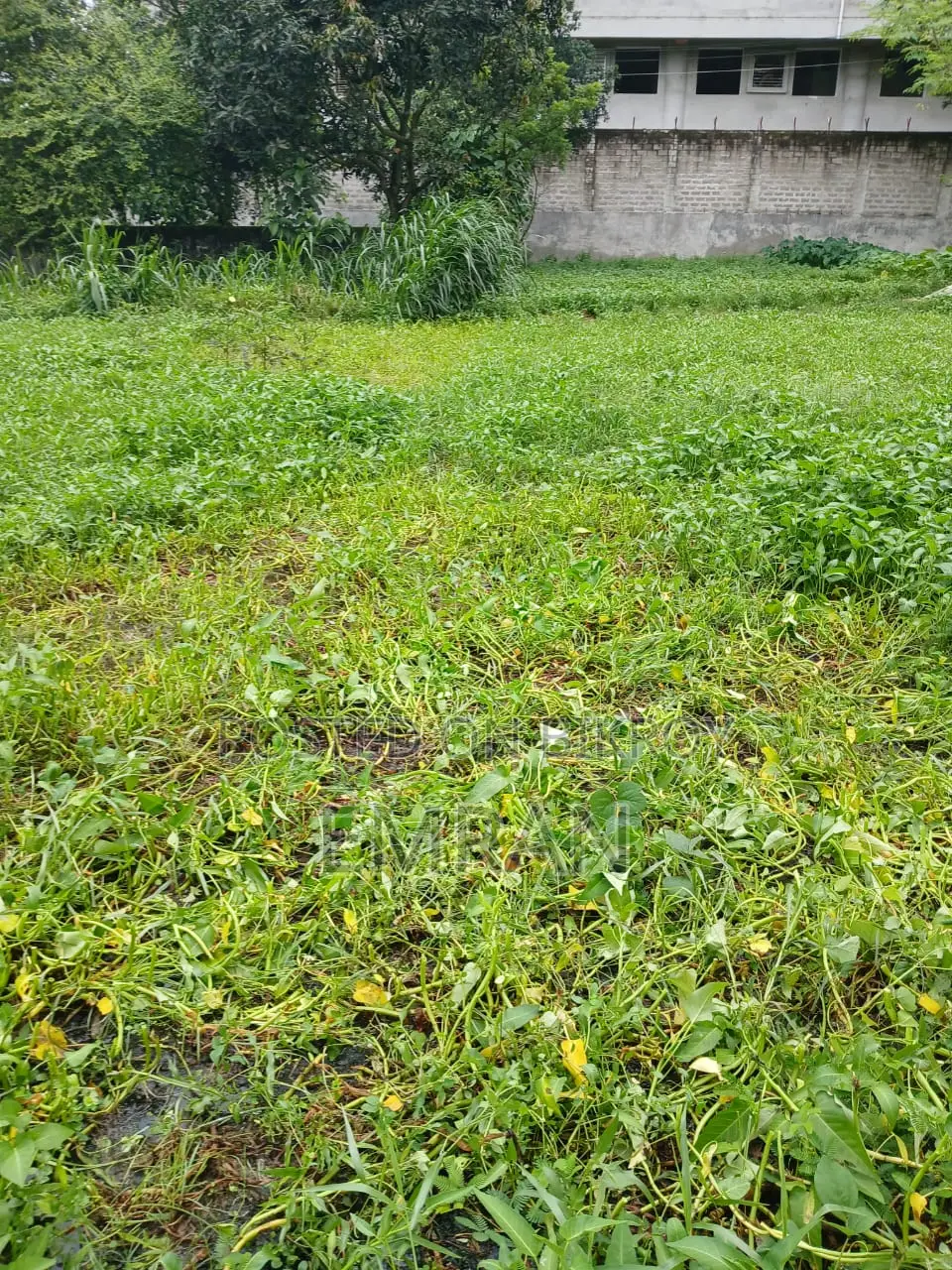 Land Sale Notice