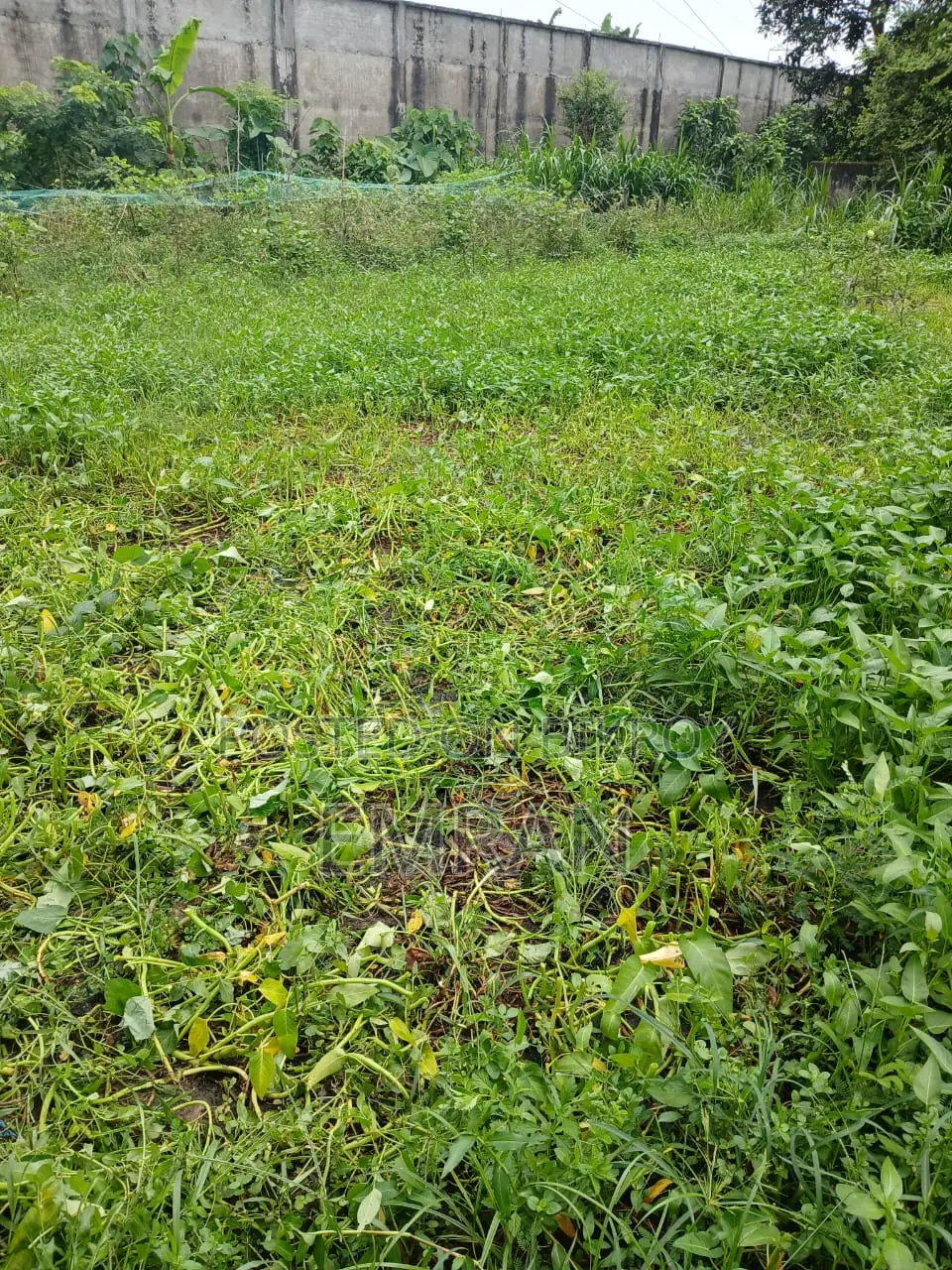 Land Sale Notice