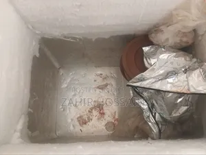 Deep Fridge 200L