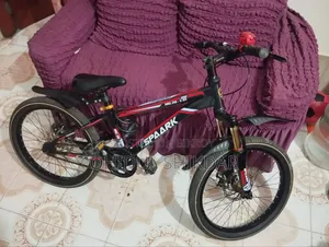 A bicycle used for 15 days