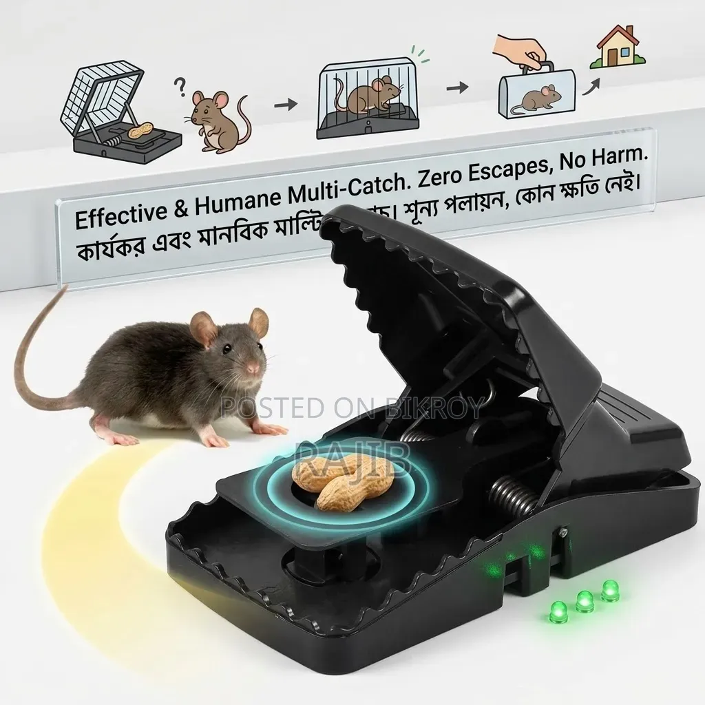 New Mouse Catcher