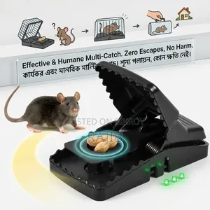 New Mouse Catcher