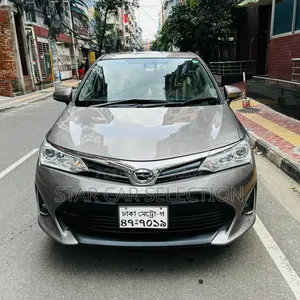 Toyota Axio 2017 Gray