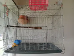 Large Budgie Bird Cage for Sale