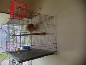 Large Budgie Bird Cage for Sale