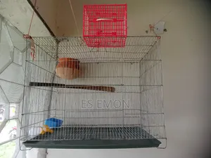 Large Budgie Bird Cage for Sale