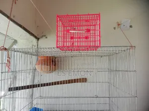 Large Budgie Bird Cage for Sale