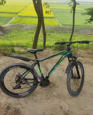 Phoenix Hurricane Mountain Gear Bicycle