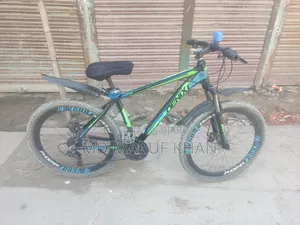 Phoenix Hurricane Mountain Gear Bicycle