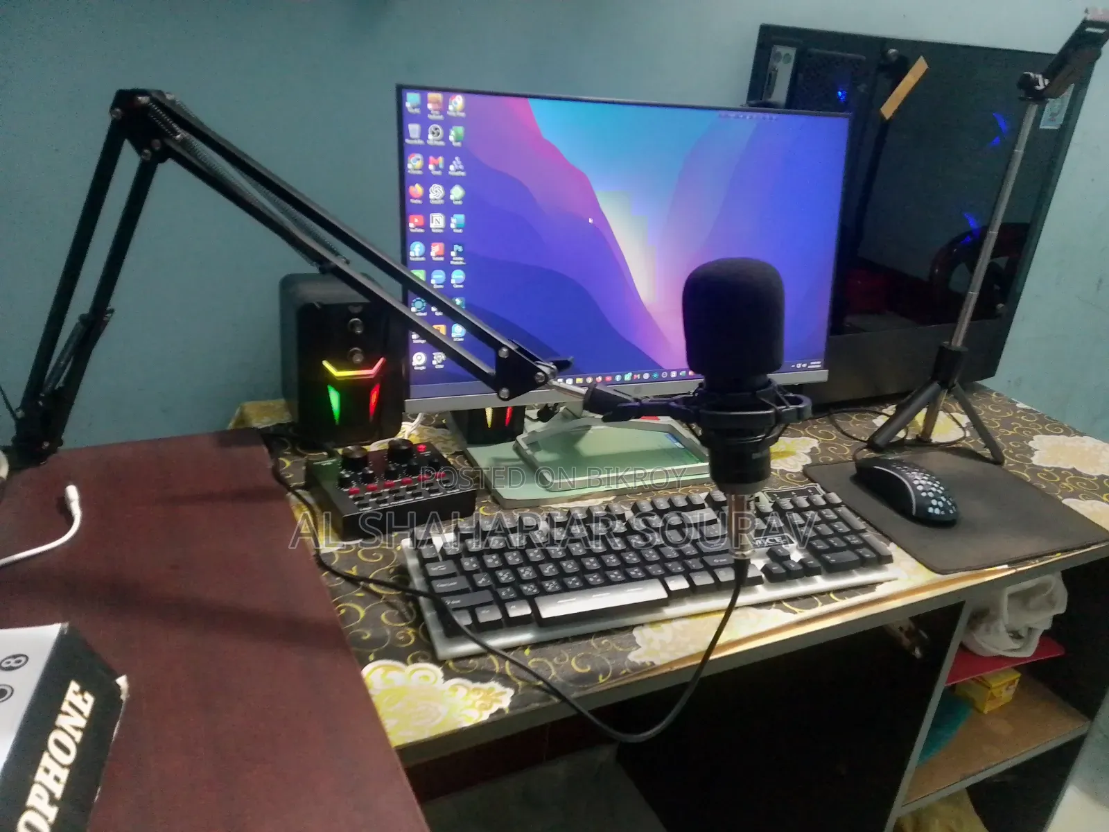 Bm 800 Microphone