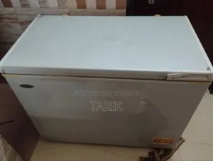 ৩১০ লিটার ডিপ ফ্রিজ