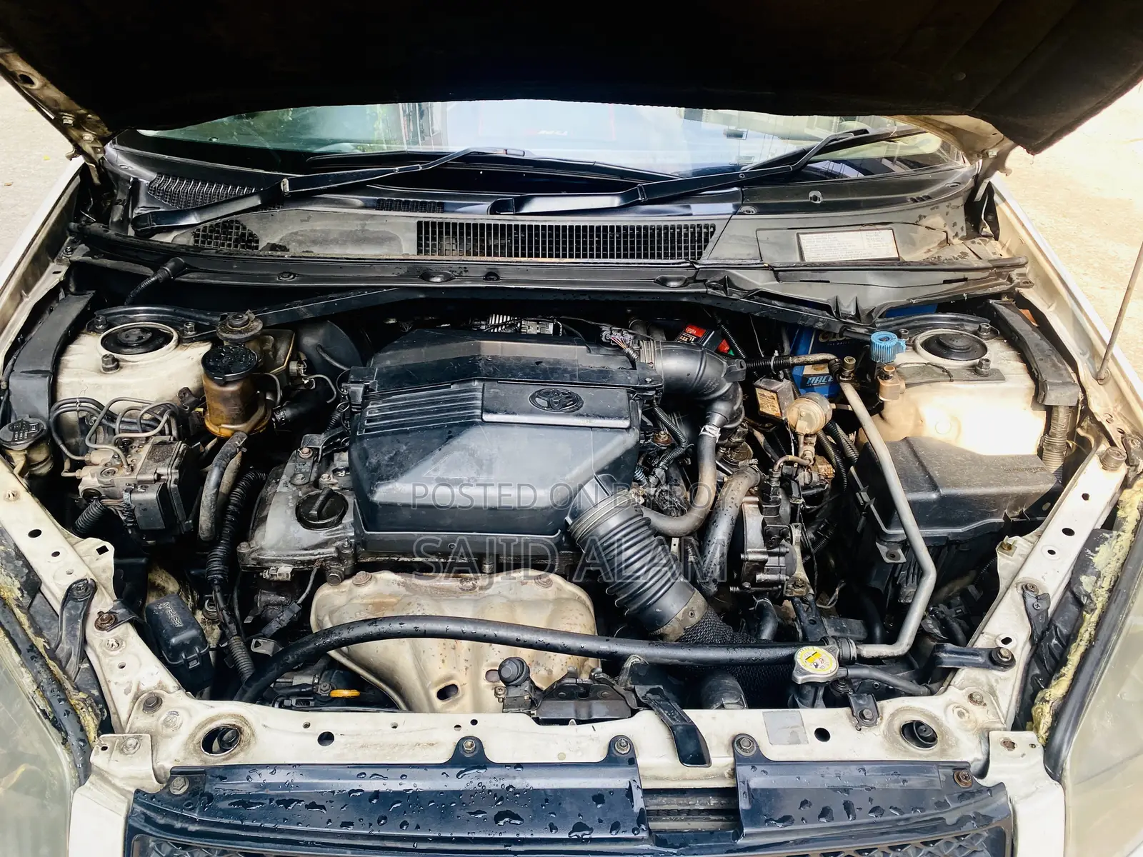 টয়োটা RAV4 ২০০৫ পার্ল