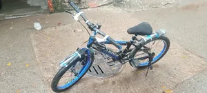 ADDER Cycle
