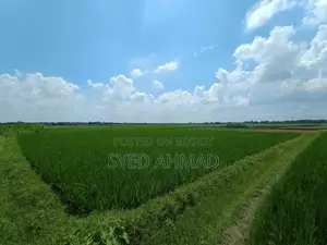 ১৮.৫ শতক চাষের তিন ফসলি জমি বিক্রয়