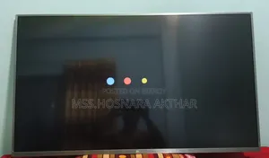Xiaomi Mi Smart Android Voice Control TV