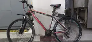 Cycle Phoenix Target
