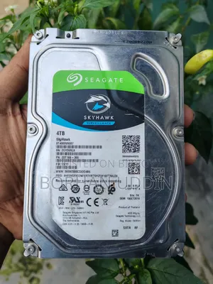 সিগেট স্কাইহক সার্ভেইল্যান্স ৪টিবি হার্ড ড্রাইভ - এইচডিডি