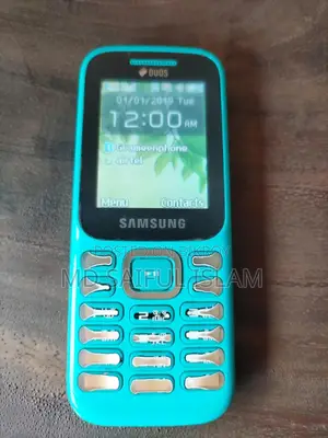 স্যামসাং গুরু মিউজিক ২ নীল