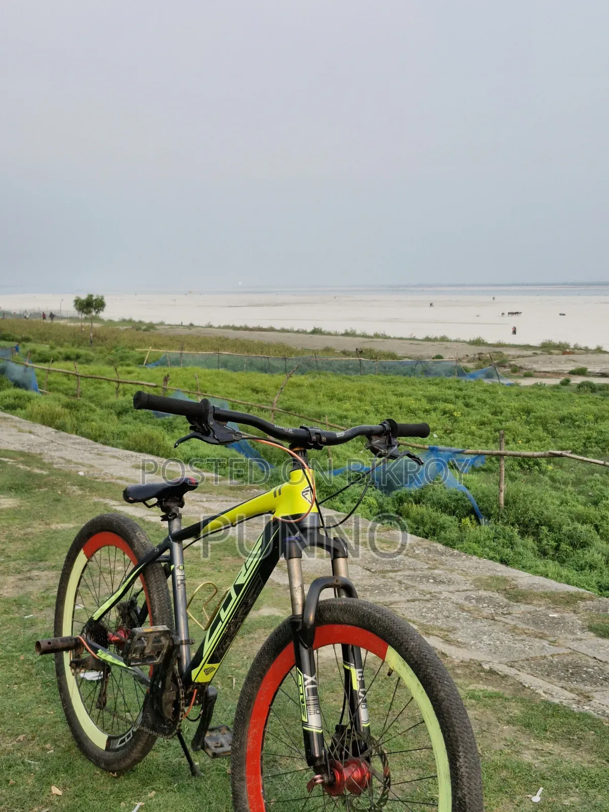 কোর নিও ৬০০