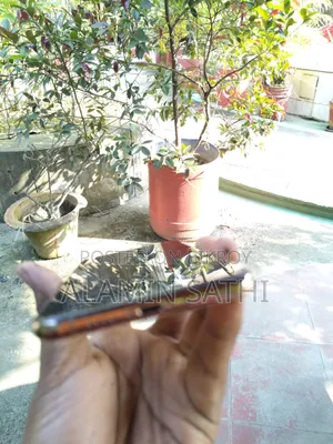 অ্যাপল আইফোন এক্সএস ম্যাক্স ৬৪ জিবি গোল্ড