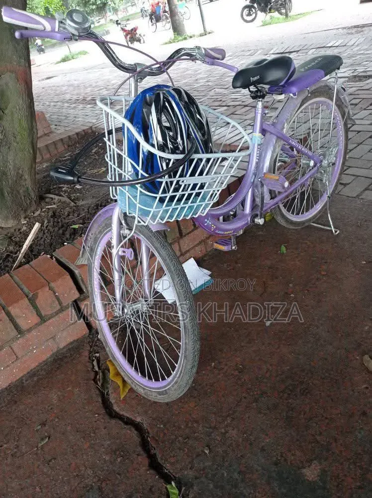 Pronex 24" Ladies Bicycle
