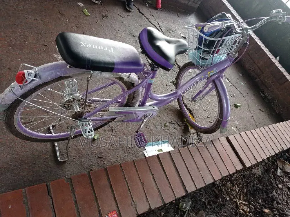 Pronex 24" Ladies Bicycle