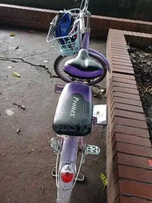 Pronex 24" Ladies Bicycle
