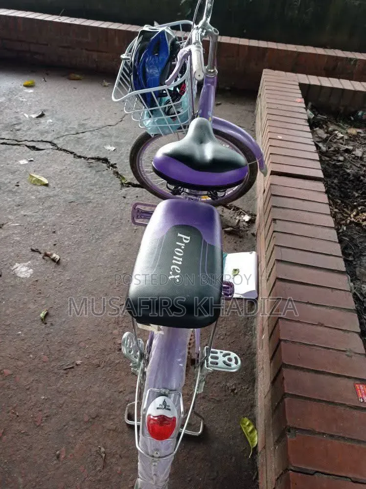Pronex 24" Ladies Bicycle
