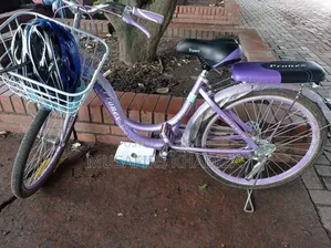 Pronex 24" Ladies Bicycle