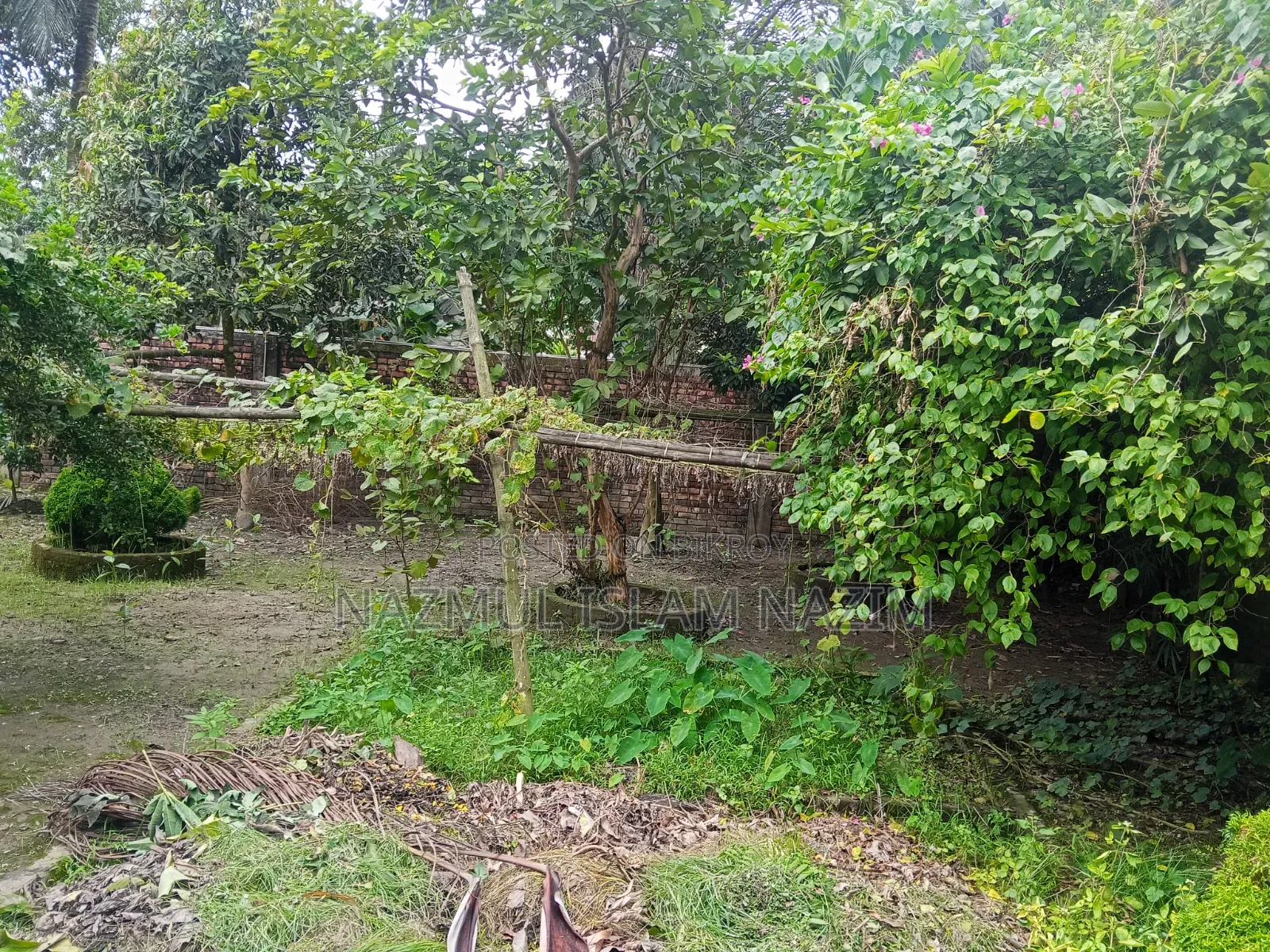 ১৬ বেডরুম ফার্ম হাউজ সিকদার বাড়ি, কালীগঞ্জ বিক্রয়ের জন্য