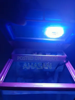 চায়না ফিশ একুরিয়াম