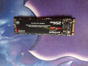 Walton 256GB Antique SATA M.2