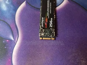 Walton 256GB Antique SATA M.2