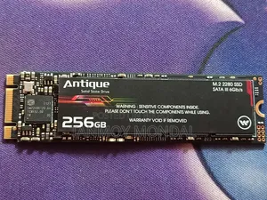 Walton 256GB Antique SATA M.2