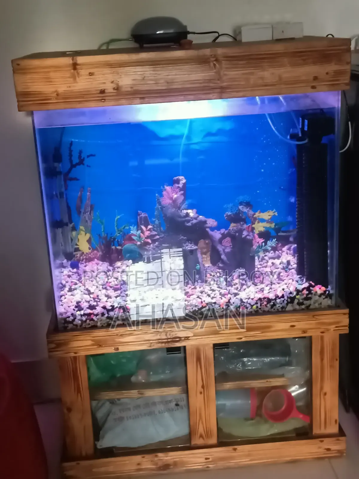 2.6 Feat Aquarium