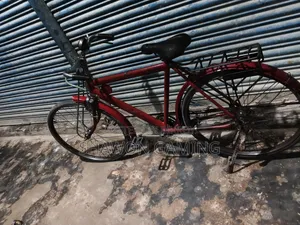Bicycle Phoenix Call