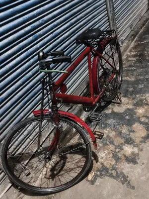 Bicycle Phoenix Call